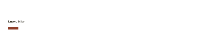 Ionescu & Stan logo